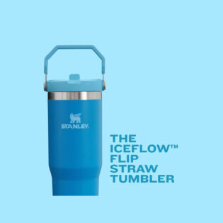 Stanley 30oz Insulated Straw Tumbler